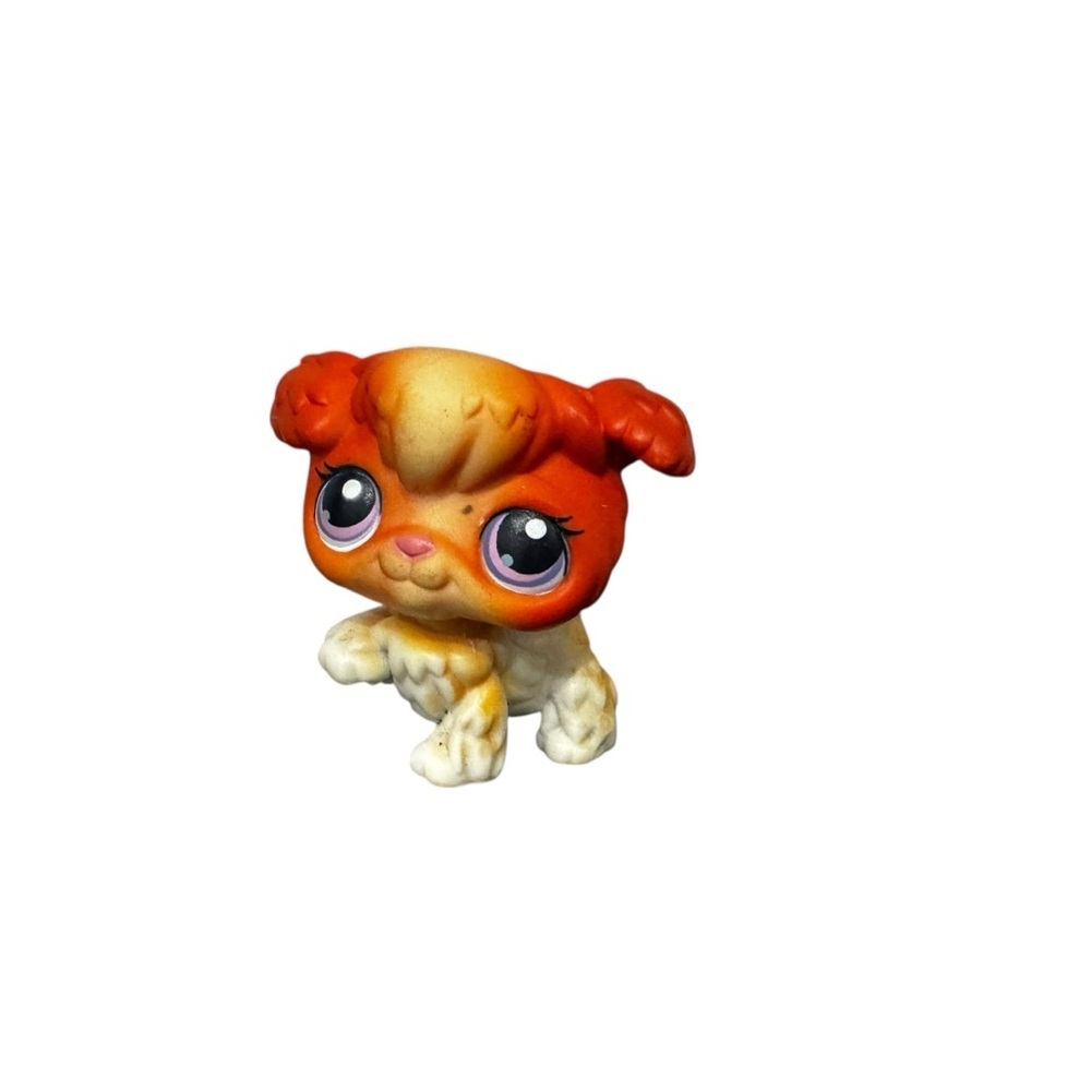 Littlest Pet Shop #37 Orange and White Poodle Purple Eyes